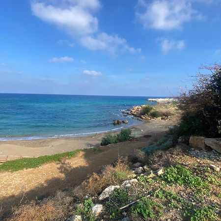 Olive Tree Villa - Protaras Exterior photo